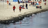 Sopot: Gnijące glony zmorą turystów na sopockiej plaży