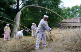 Tak dawniej koszono zboże! W lubelskim skansenie odbył się pokaz tradycyjnego żniwowania [ZDJĘCIA]