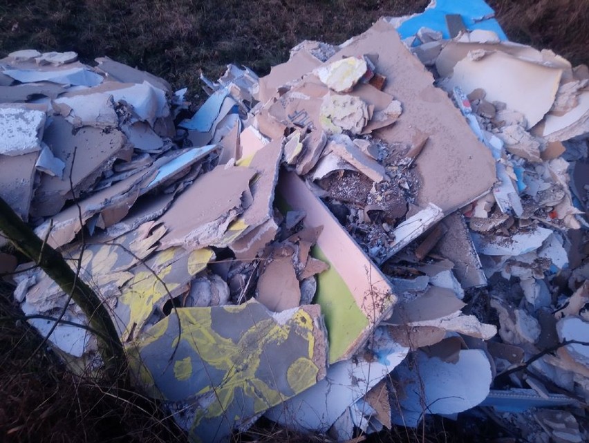Dzikie wysypiska: Śmieci rozsypane pod lasem w Esterpolu
