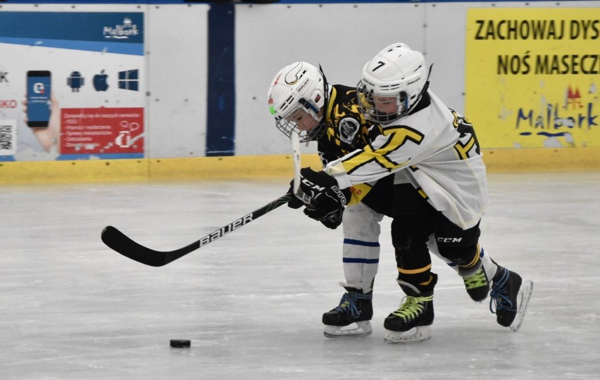 Hokej w Malborku. Turniej najmłodszych drużyn na miejskim lodowisku. Grali kilkulatkowie [ZDJĘCIA]