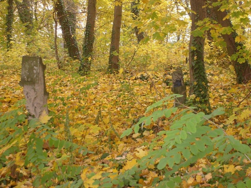 Smak Czasów Minionych - cmentarz ewangelicki w Rogoźnie