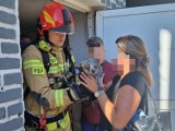 Pożar w Warszawie. W zadymionym mieszkaniu znajdowały się dwa psy. Strażacy uratowali jednego z nich