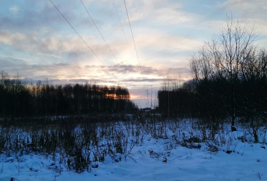 Zimowe awarie prądu. Mróz uszkodził linie energetyczne w regionie sieradzkim
