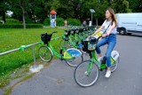 Toruń. Rower miejski 5 miesięcy po zmianach: mniej kradzieży, 1000 nowych użytkowników