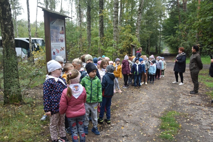 Pasowanie na Przedszkolaka w Przedszkolu nr 7 Pod Grzybkiem w Wągrowcu 