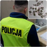 Bełchatów: Narkotyki w mieszkaniu bełchatowianki. Kobieta była zaskoczona wizytą policji
