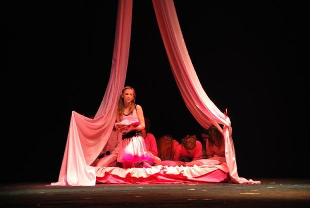 Premiera musicalu pod tytułem „Różowy Pokoik”, odbyła się 26 stycznia 2011 roku na deskach Teatru im. Wandy Siemaszkowej w Rzeszowie