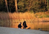 Jesień na Roztoczu. Koniecznie trzeba się tam wybrać także jesienią