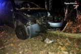 Bór Zapilski: Pijany kierowca wjechał w drzewo, kiedy uciekał przed policją