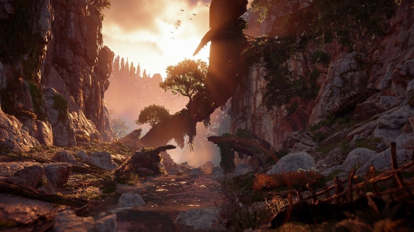 HORIZON: ZERO DAWN
Na czym zagrasz? PC, PS4

W...