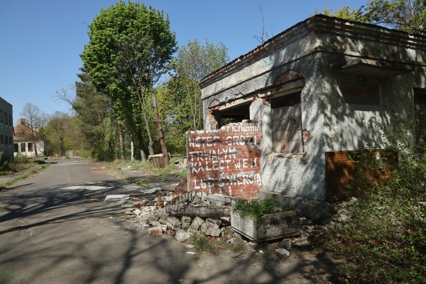 Gigantyczny szpital w Lasku Złotoryjskim popada w kompletną ruinę [ZDJĘCIA]