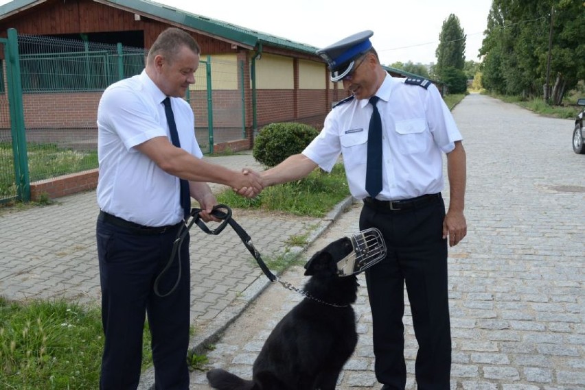 Policja we Wrocławiu ma nowego psa