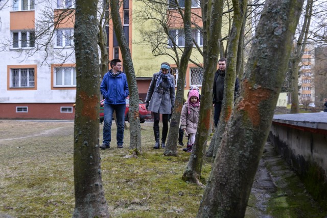 mieszkańcy ulicy Michałowskiego w Gdańsku sprzeciwiają się planowanej wycince drzew