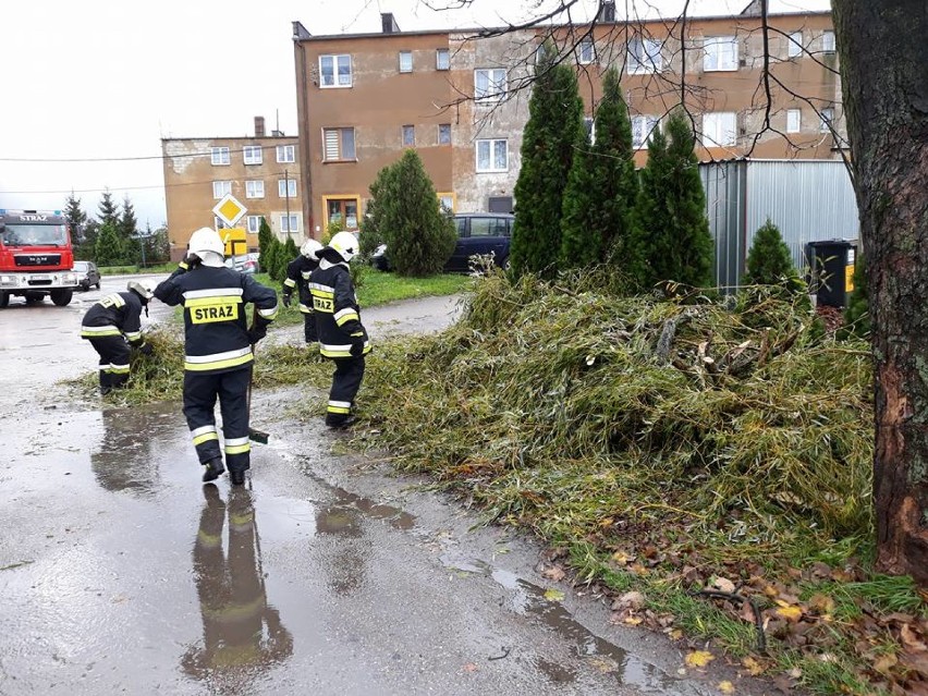 Powiat tczewski: orkan Grzegorz atakuje. Strażacy mają pełne ręce roboty! [ZDJĘCIA, AKTUALIZACJA]
