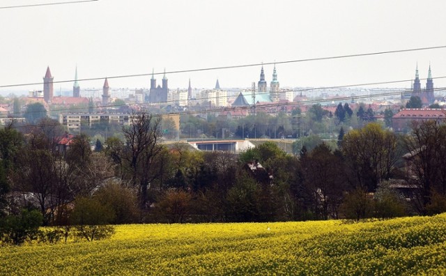 Tak wygląda Legnica widziana z Lipiec