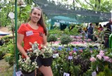 Lato Kwiatów 2022 w Otmuchowie. Na imprezę przyjechało 300 wystawców! Są też tłumy odwiedzających