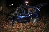 Śmiertelny wypadek w Sączowie. Kierowca uderzył w drzewo. Zginął na miejscu
