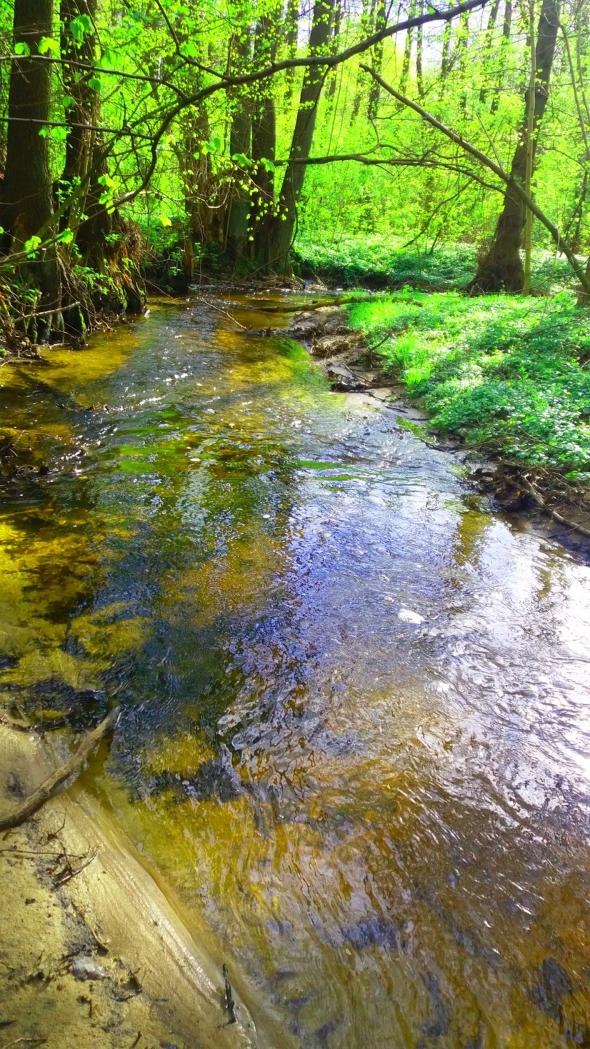 Srebrna to druga górska rzeczka w Gorzowie