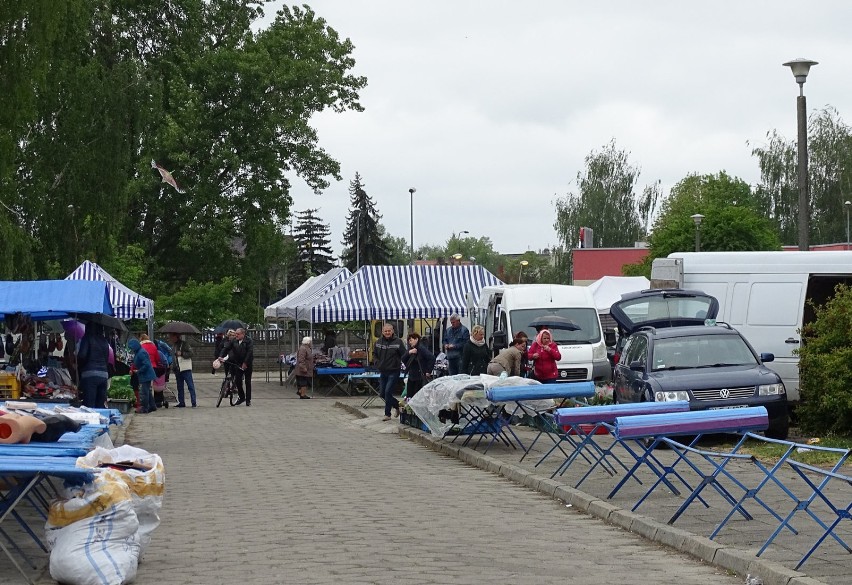 WSCHOWA. Targowisko w deszczu, przystępne ceny sadzonek[ZDJĘCIA]