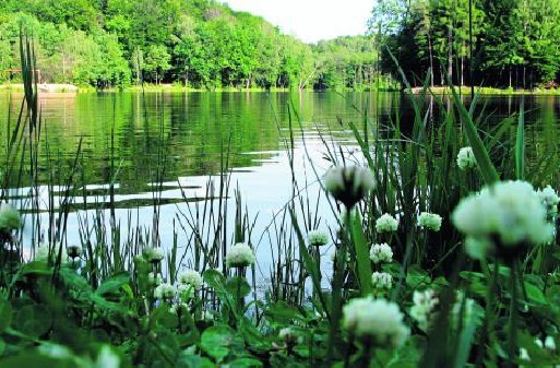 Wycieczkę najlepiej zakończyć nad Balatonem, gdzie można urządzić piknik.