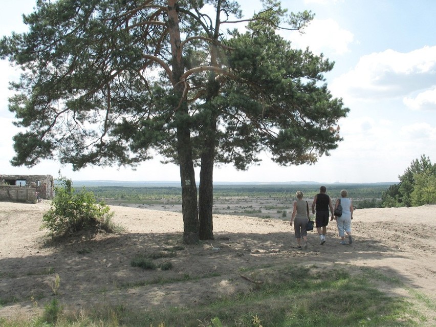 Pustynia Błędowska zamknięta do grudnia 2013 roku