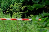 Trwa śledztwo w sprawie tragicznego wypadku między Lubczą a Sypniewem. Co ustaliła policja?