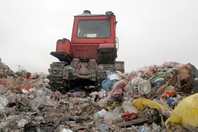 Z szacunków magistratu wynika, że w taki sposób przetwarzanych ...