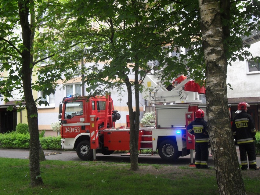 Służby zostały wezwane wczoraj (7 czerwca) do mieszkanki...