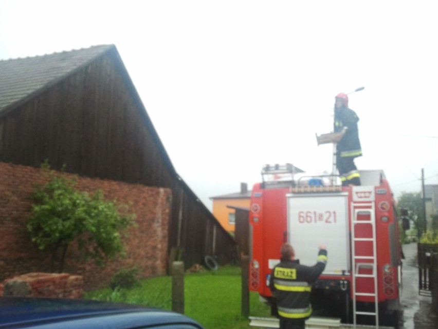 Strażacy z Wodzisławia usuwają skutki nawałnicy w...