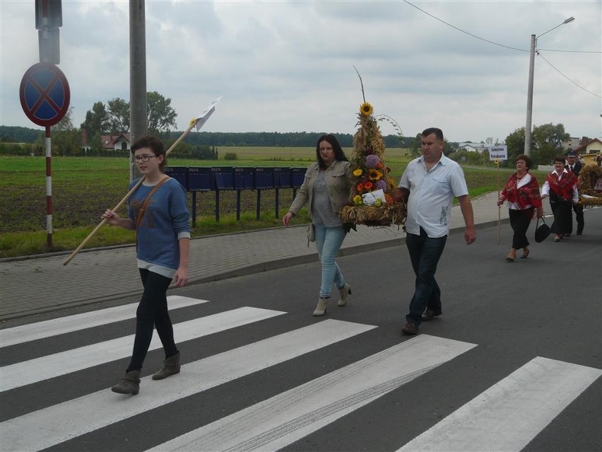 Dożynki powiatowo-gminne Wojsławice