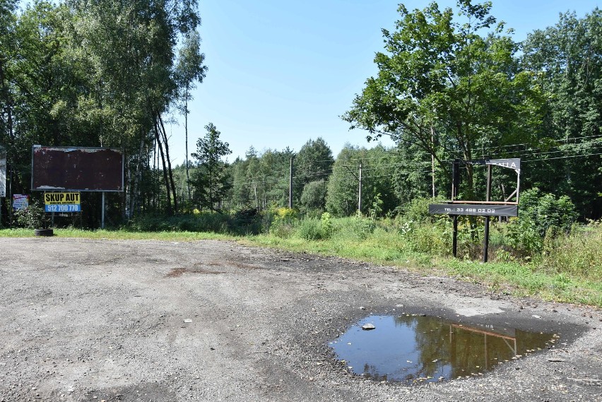 Reklamy Dinoparku z Mikołowskiej w Rybniku zostaną usunięte a bałagan posprzątany. Jest reakcja urzędu miasta