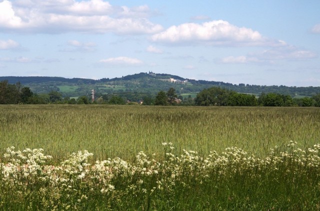 Widok na Górę Świętej Anny