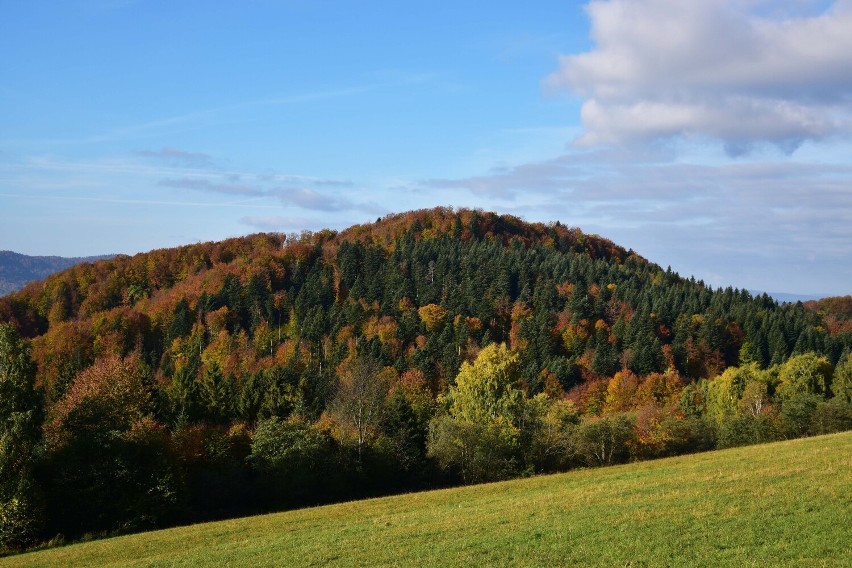 Bieszczady najpiękniejsze są jesienią [ZDJĘCIA]