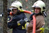 Mierzeja Wiślana. Płonął las w okolicach Piasków. Na szczęście to tylko ćwiczenia