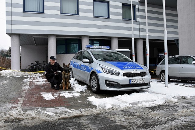 Owczarek niemiecki Motor na co dzień pełni służbę w Bieczu, będzie pomagał szukać zaginionych i patrolował ulice