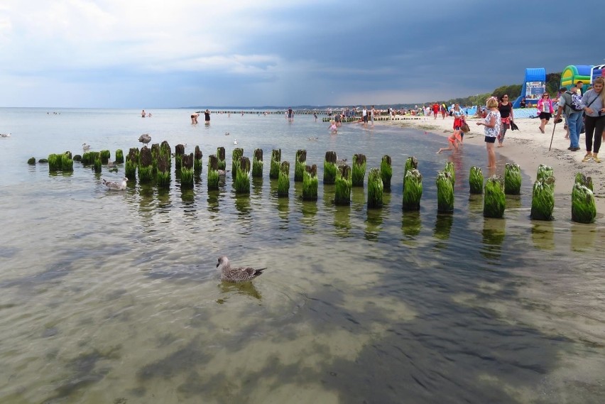 Sezon w pełni. Na plaży w Ustce można spotkać wielu...