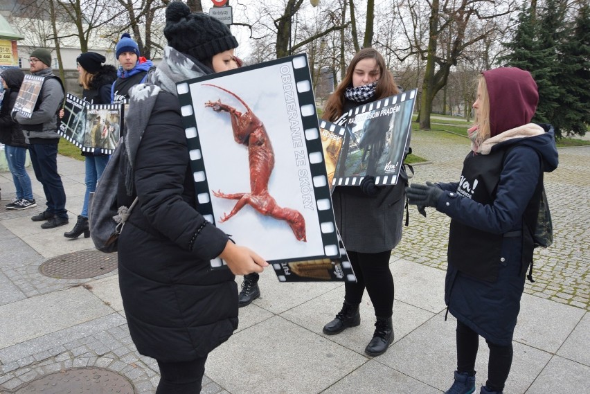 Protest Vivy w Piotrkowie przeciwko hodowli zwierząt...