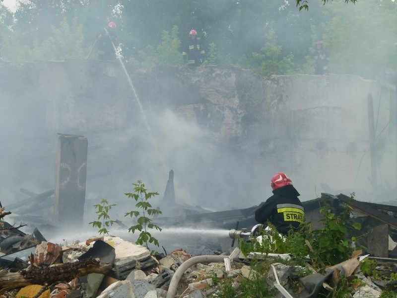 Tomaszowscy strażacy gasili pożar na Wistomie