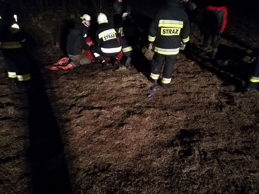 Strażacy pomagali ratować konia, który wpadł do zbiornika wodnego