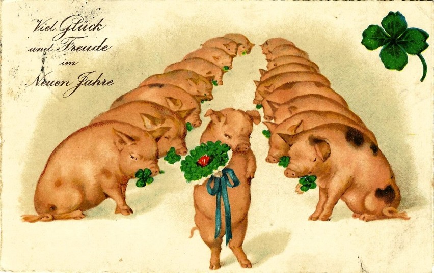 Świnia uważana jest za symbol szczęścia i fortuny, na...