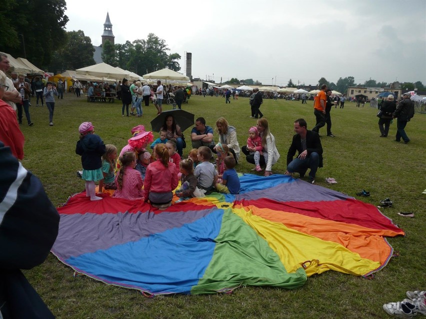 I Krajowe Święto Truskawki w Buczku. 28 czerwca 2015 r.
