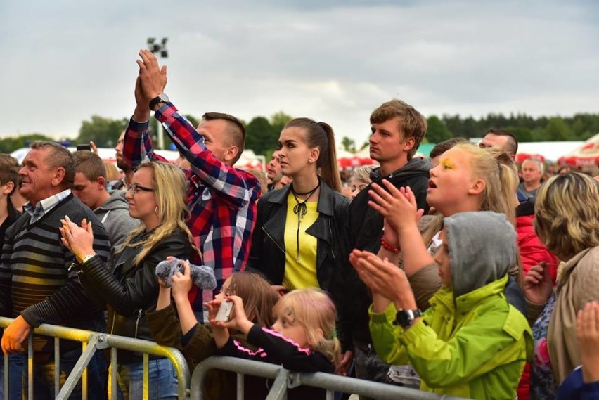 Wielki Piknik Wakacyjny "Dzieje znad Liswarty" w Dankowie ZDJĘCIA