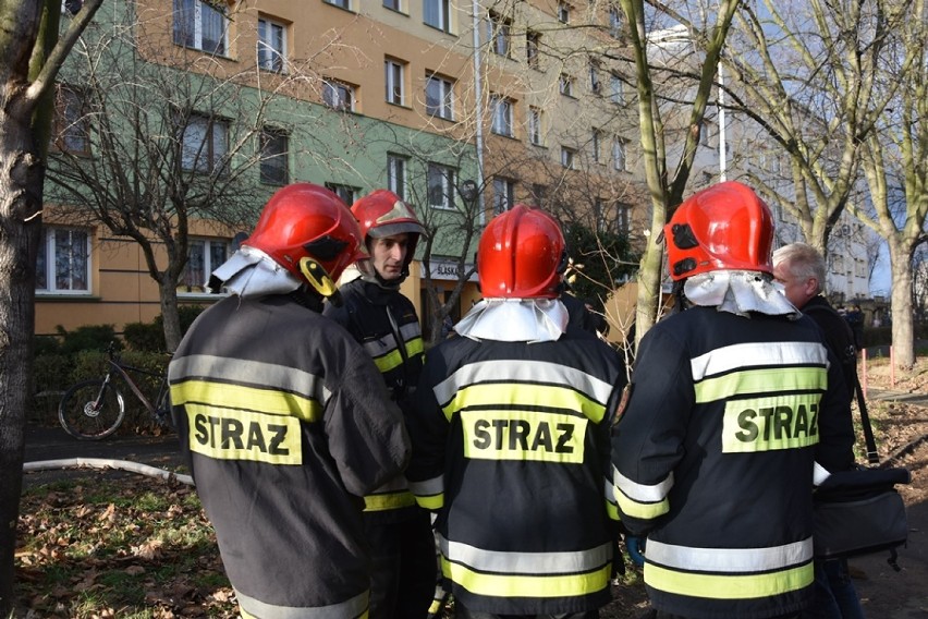 Pożar mieszkania w Legnicy, dwie osoby poszkodowane! [ZDJĘCIA]