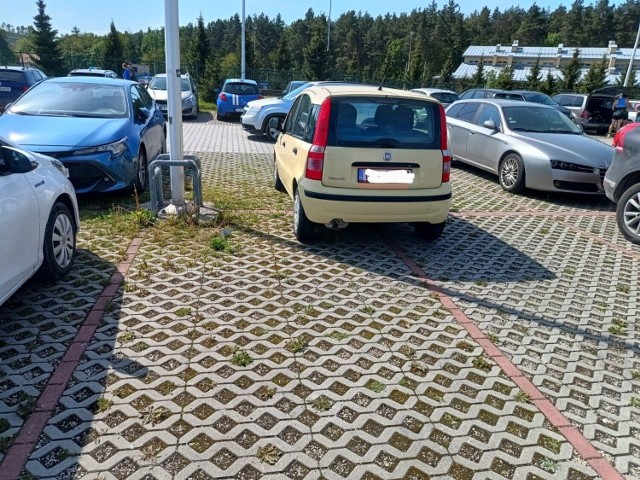 Parking na  Stadionie -jedno auto, cztery miejsca zajęte! To "rekord" ostatnich miesięcy. Więcej podobnych przykładów na kolejnych zdjęciach>>>