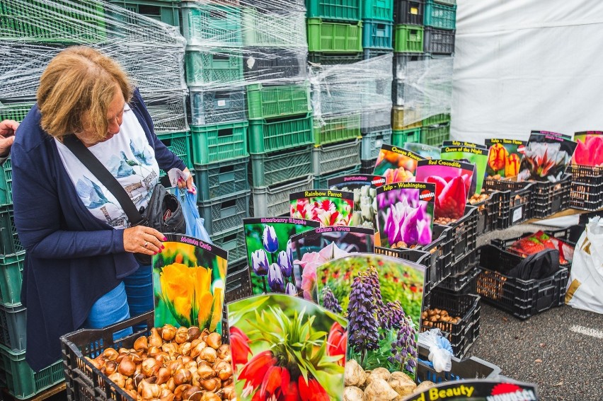 Targi „Jesień w Ogrodzie 2019” trwają dwa dni - 7 i 8...