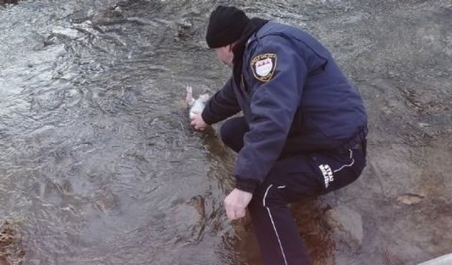 Dzieciątko Jezus, które niedawno zniknęło ze stajenki ustawionej na opatowskim Rynku, zostało odnalezione w rzece przy Promenadzie. O braku figurki poinformował w czwartek burmistrz Grzegorz Gajewski na swoim Facebooku. Samorządowiec nie szczędził ostrych słów pod adresem osoby, bądź osób, które dopuściły się tego czynu. 

Kto zabrał Dzieciątko Jezus z szopki ustawionej na Rynku w Opatowie? Burmistrz ostro reaguje


W piątek Dzieciątko Jezus zostało zauważone przez jednego z mieszkańców Opatowa w rzece Opatówce. Wydobyciem figurki zajęła się opatowska Straż Miejska. 

Więcej zdjęć na kolejnych slajdach. 

- Dziękuję Wam wszystkim za to, że okazaliście, że opatowska stajenka jest dla Was ważna. Staramy się zadbać o wizerunek Opatowa i cieszę się, że większości z Was to odpowiada - napisał burmistrz Opatowa Grzegorz Gajewski. 

Wkrótce figurka ma wrócić na swoje miejsce, do stajenki ustawionej na opatowskim Rynku. 

Jak informuje burmistrz Opatowa, Straż Miejska przegląda nagrania z monitoringu, które umożliwią złapanie osoby, która wyjęła Dzieciątko Jezus ze żłóbka i wrzuciła do rzeki. 

- We wtorek, 7 stycznia, złożę oficjalne zawiadomienie do Komendy Powiatowej Policji w tej sprawie - mówi Grzegorz Gajewski.