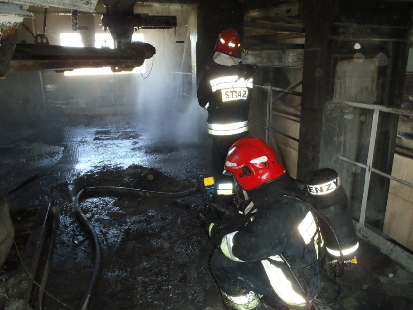 Pożar fabryki w Budzyniu. Straż przez 4 godziny walczyła z ogniem [FOTO]