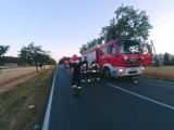 Wypadek w Sobótce. Samochód dostawczy potrącił rowerzystę