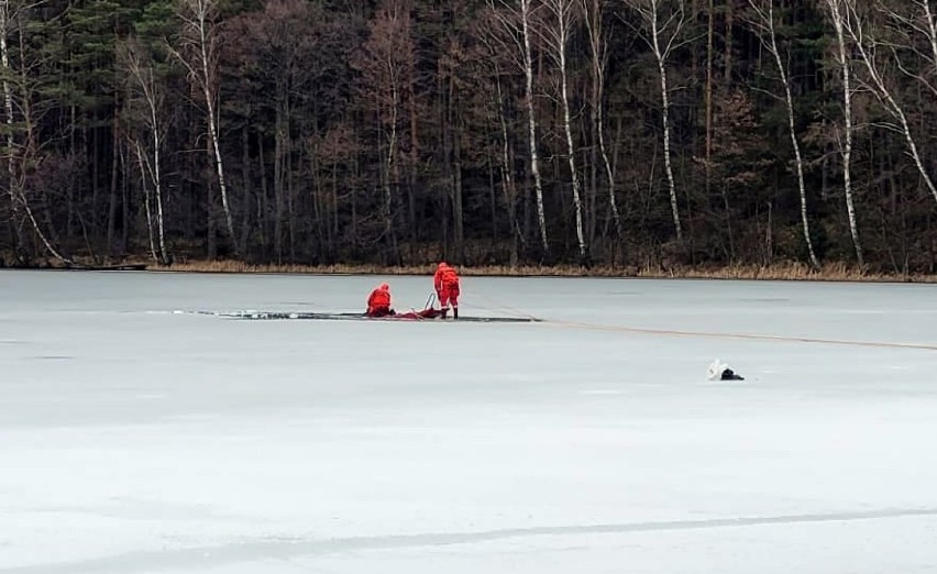 Tragedia na jeziorze Brzeźno 18.03.2021. Pod wędkarzem załamał się lód. Strażacy wyłowili jego ciało
