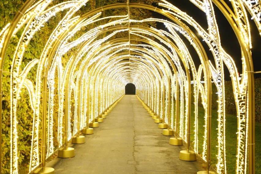 Królewski Ogród Światła jest plenerową instalacją, w ramach...